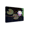 Trademark Fine Art Michael Blanchette Photography 'Pink Water Lily 2' Canvas Art, 16x24 ALI21471-C1624GG